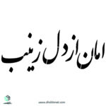 شابلون"امان از دل زینب"