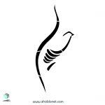 شابلون"حسین"