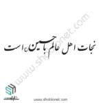 شابلون"نجات اهل عالم با حسین است"